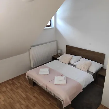Guest house Rezidence Vogelsang Kasperske Hory