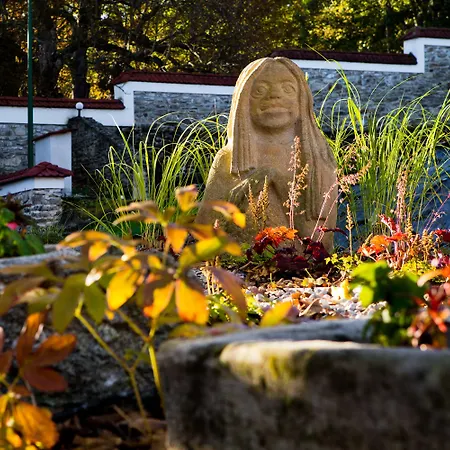 Rezidence Vogelsang 3* קאספרסקה הורי