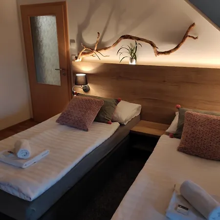 Guest house Rezidence Vogelsang 3*